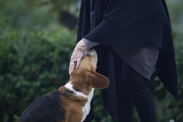 Photo man with dog standing outdoors