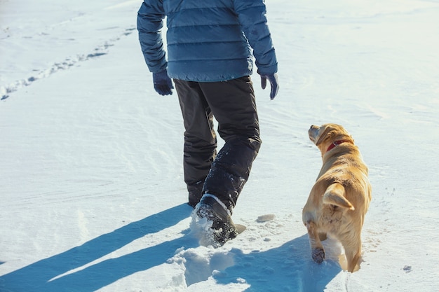 雪の降る冬の野原を歩く犬と男
