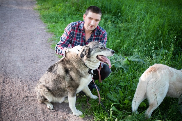 緑の芝生の近くに灰色の犬と近くに軽い犬を持つ男。