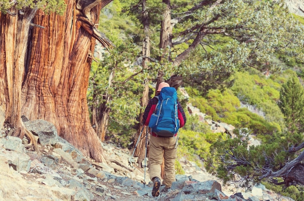 シエラネバダ山脈、カリフォルニア、米国を歩くハイキング用品を持つ男