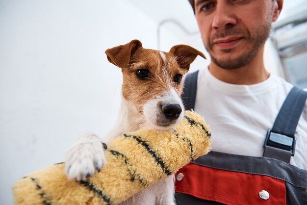 Man with his dog doing renovation work in the room. Good relationship between a dog and his owner