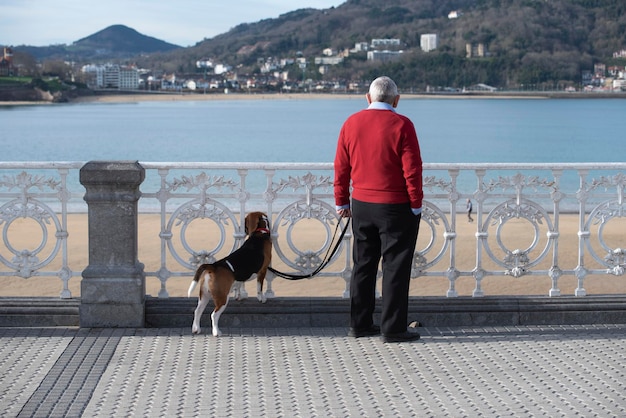 Мужчина со своей собакой смотрит на море