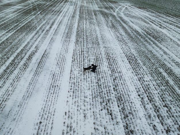 ドローンの冬の写真で畑でハスキー犬を飼っている男性