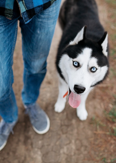 公園を歩いているハスキー犬と男