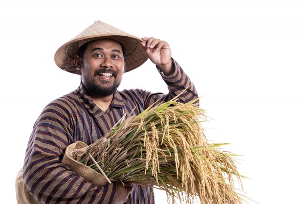 Man with Javanese shirt holding rice grains