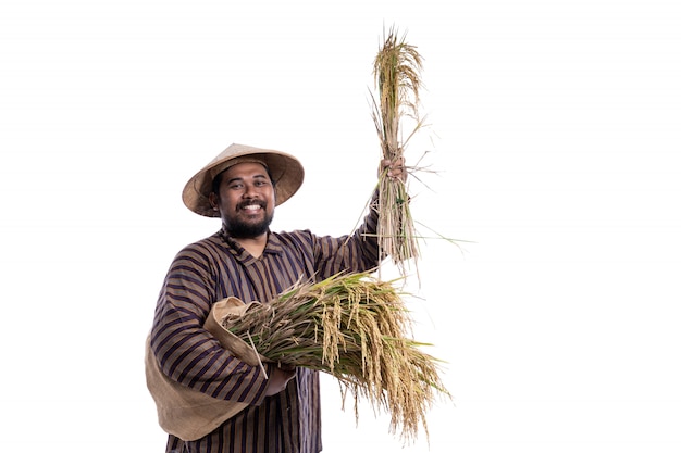 Man with Javanese traditional lurik shirt holding rice grains