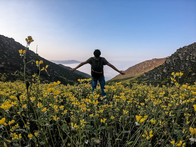 человек с распростертыми объятиями стоит над цветочным пейзажем горной долины