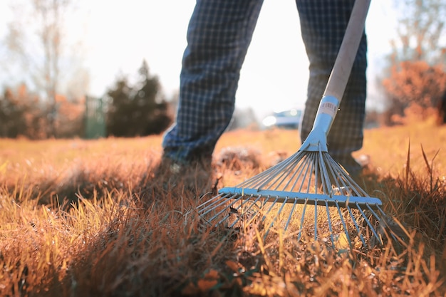 Man with rakes in autumn old grass