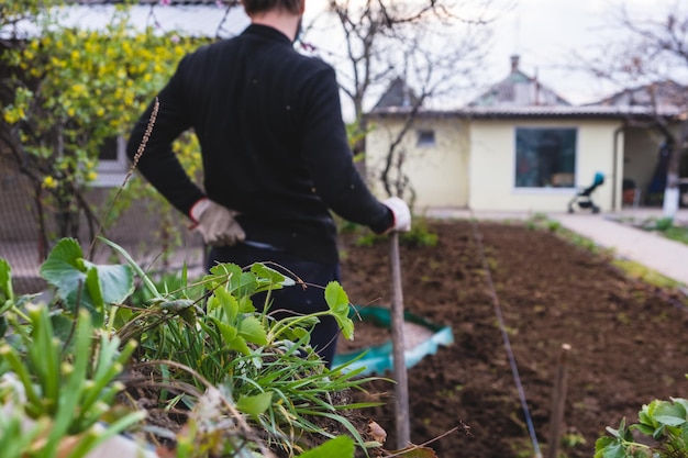 Man with shovel in garden back pain during work in garden