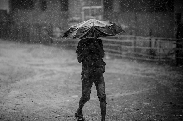 写真 モンスーン中に傘をかぶって道路を歩く男