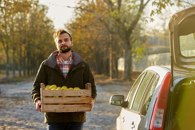 L'uomo con una scatola di legno di mele dorate mature gialle presso la fattoria del frutteto lo carica nel bagagliaio della sua auto
