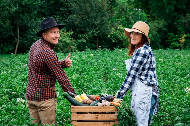 Man and woman farmers in hats holding fresh organic vegetables in a wooden box