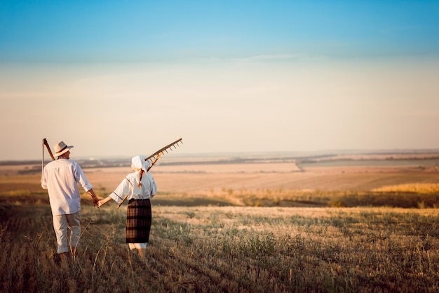 A man and a woman harvest in the field