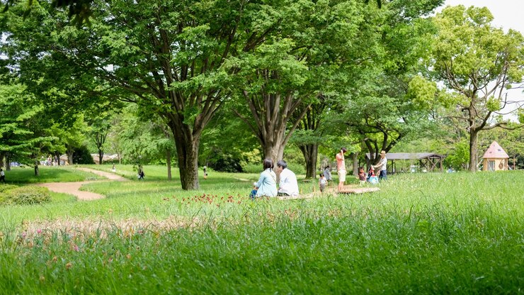 Photo 公園でリラックスしている男女