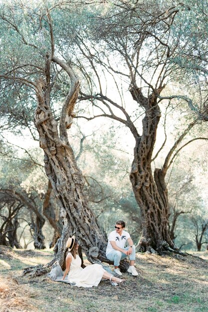 Man and woman sit on the roots of an old olive tree and look at each other