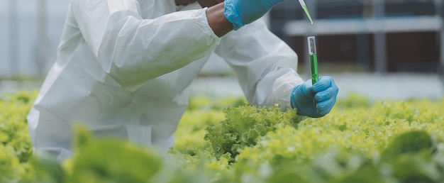 Man and woman use a test tube and a pipette while working in a greenhouse