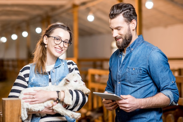 Man and woman veterinarians taking care about small baby goat with digital tablet indoors at the barn