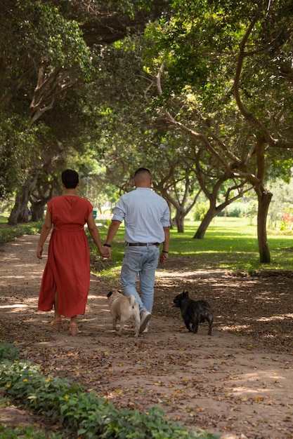 a man and a woman walk their dogs in a park