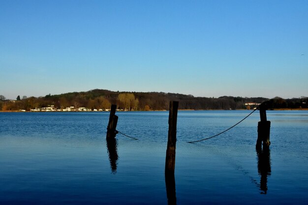 Photo man on wooden post in lake against clear blue sky