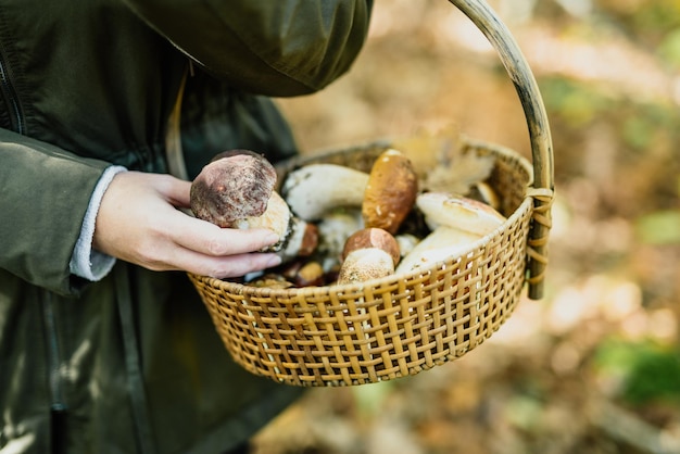 Photo man working in basket