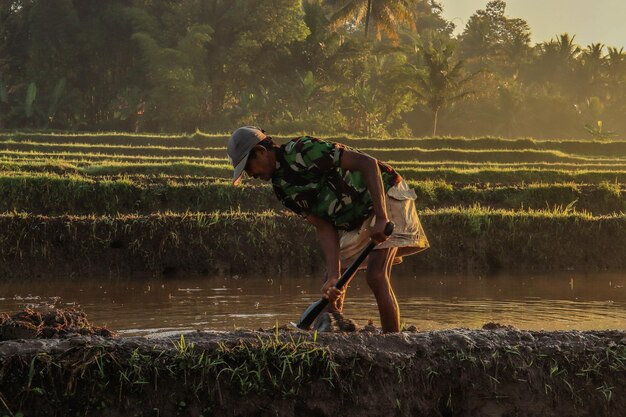 Photo man working in farm