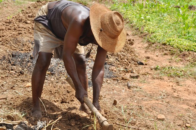 man working in farm