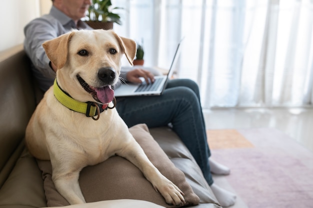 Foto uomo che lavora al computer portatile a casa con il suo compagno di cane