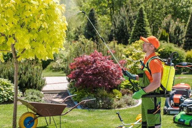 写真 花をかせる植物を扱っている男性