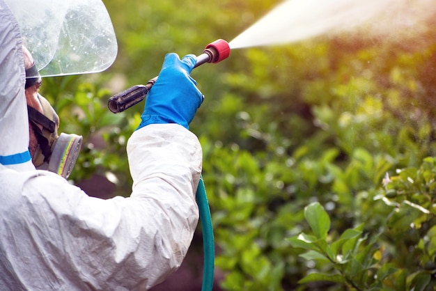 Photo man working on plant