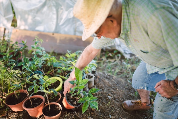 Photo man working on plants