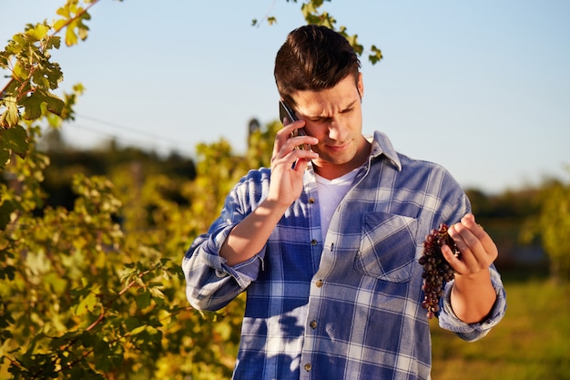 Man working in a vineyard