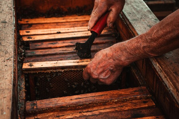 A man works in an apiary with tools near the beehive with honey and bees 4