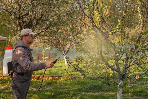 The man works the garden and sprays rechargeable sprayers chemicals against pests on the fruit tree