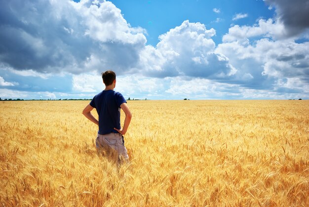 Man in yellow wheat meadow.