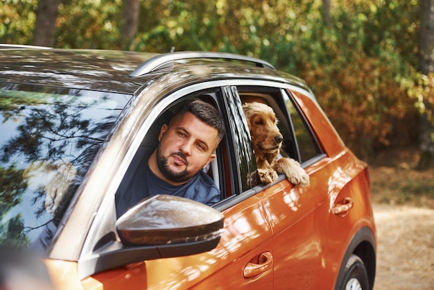 Man zit in de moderne auto in het bos met zijn hond in het weekend.