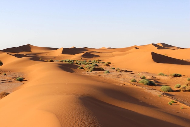Foto man zit op zandduinen omringd door sporen in een woestijn