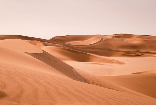 Foto man zit op zandduinen omringd door sporen in een woestijn