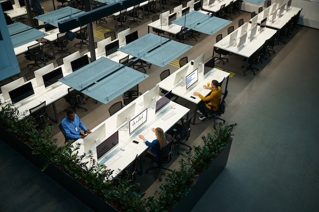 Managers werken op computers in IT-kantoor, bovenaanzicht