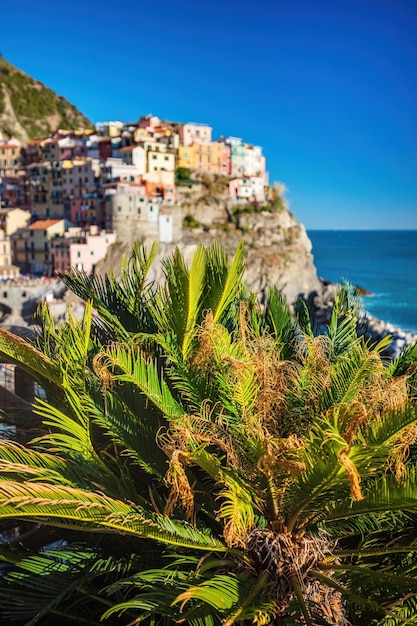 Manarola in Cinque Terre Italië in de zomer Populaire toeristische bestemming aan de kust van Ligurië