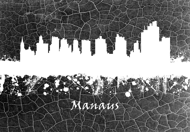 Manaus skyline Black and White