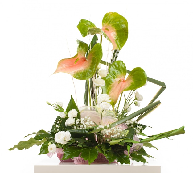 Mand met Anthurium essencia