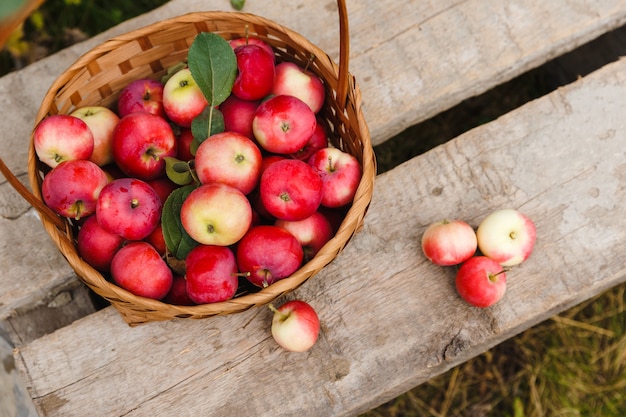 Mand met biologische appels