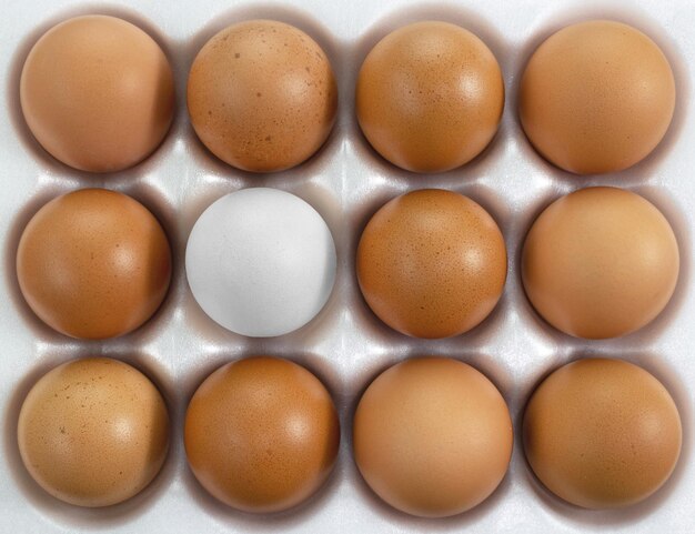 Mand vol eieren Bovenaanzicht