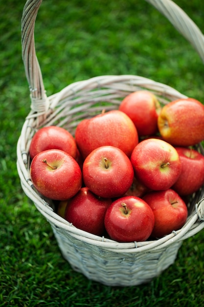 Foto mand vol met rode appels