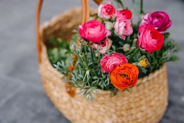 Mand vol roze ranunculus bloemen