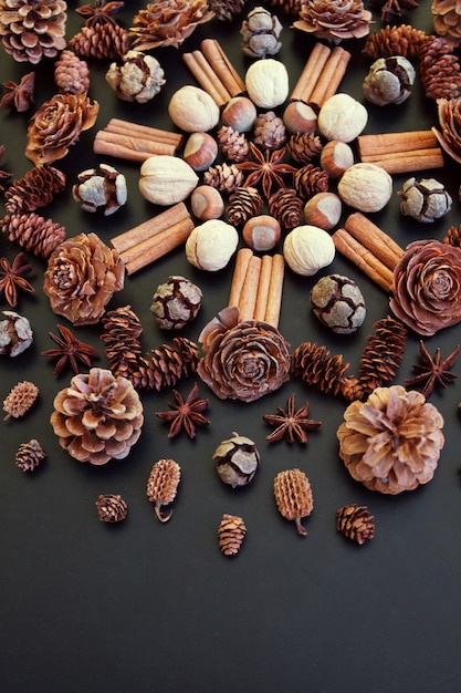 Mandala with cones and nuts