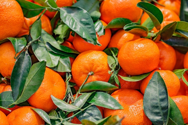 Mandarijnen met groene bladeren geheel in bulk op marktselectieve focus