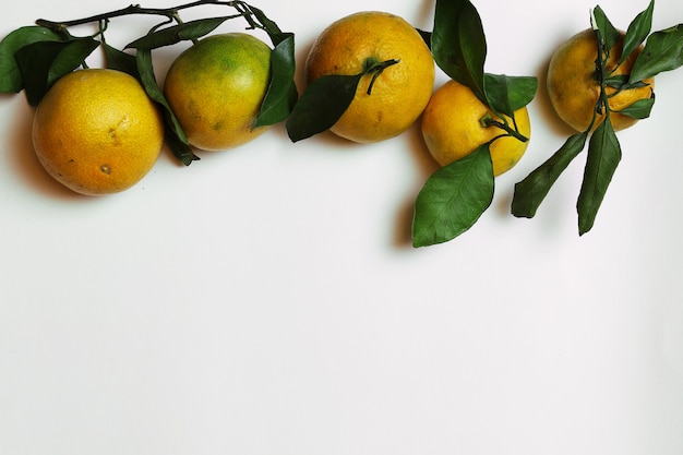 Frutto di mandarino isolato bianco