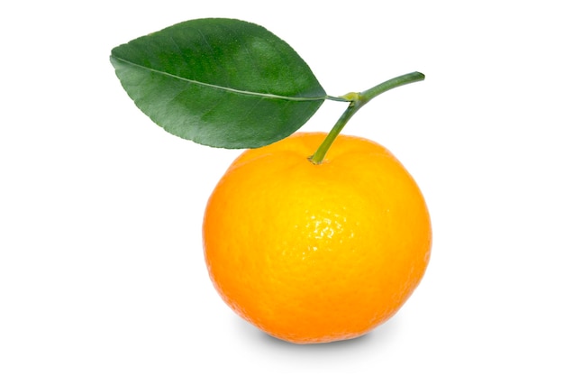 Mandarin orange isolated on white background clipping path