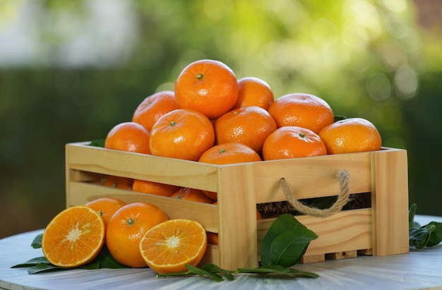 Mandarin oranges in wooden crate on green natural garden Blur background fresh Taiwan tangerine